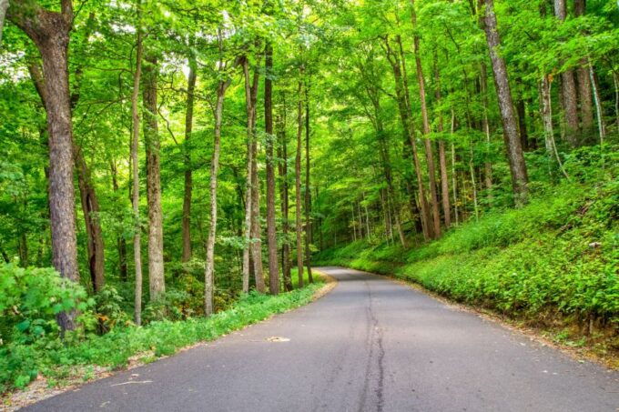 Great Smoky Mountains NP & Cades Cove Self-Guided Tour - Tour Description