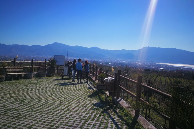 Group Tour for Wine & Food Tasting at the Cantina Del Vesuvio. - Additional Information and Resources