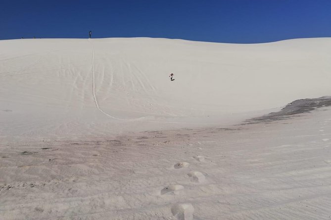 Guided Hiking and Environmental Education: Atlantis Sand Dunes - Environmental Education Focus