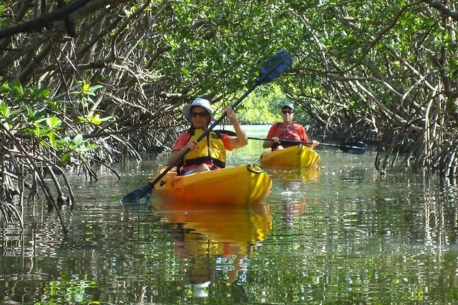 Guided Kayak Eco Tour in Pelican Bay - Booking Process and Options