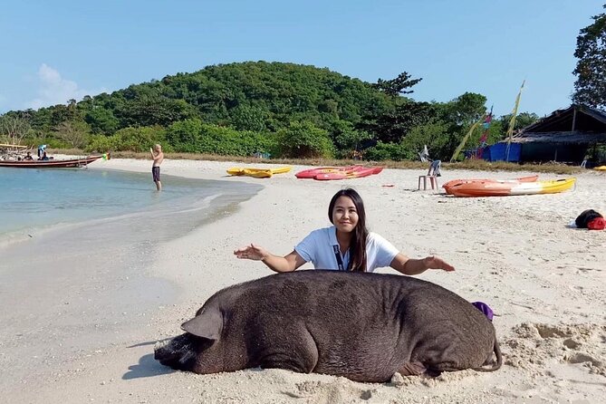 Half-Day Pig Island (Koh Madsum) and Koh Tan Speedboat Tour - Directions