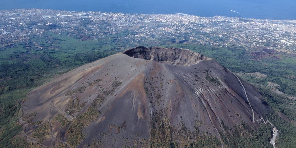 Herculaneum and Mount Vesuvius Private Tour - Highlights