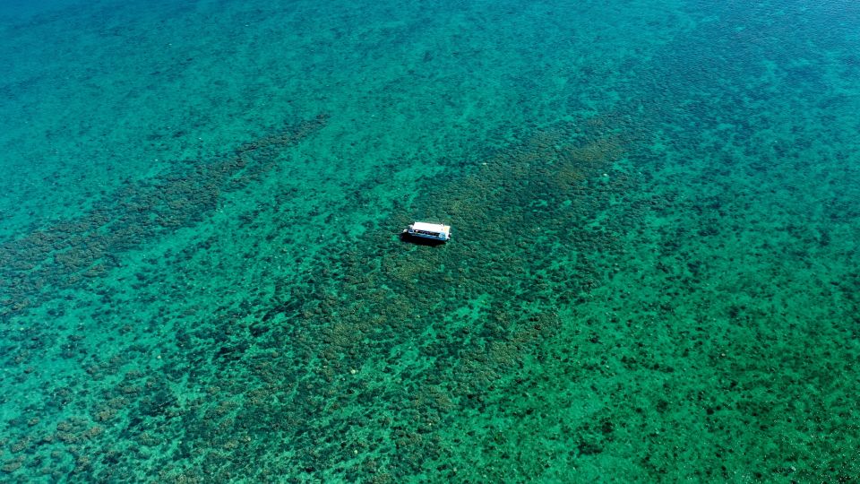 Hervey Bay: Turtle Discovery Eco Tour - Common questions