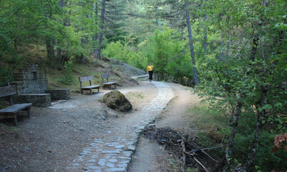 Hiking, Swimming and Sightseeing Tour in Central Zagori Area - Itinerary Highlights