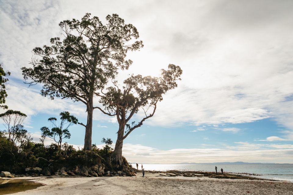 Hobart: Bruny Island Adventure With Lunch & Lighthouse Tour