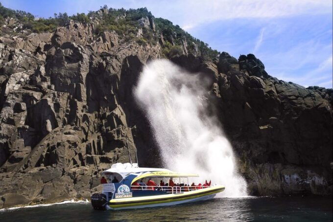 Hobart: Bruny Island Wilderness Coast Eco Cruise With Lunch - Important Information