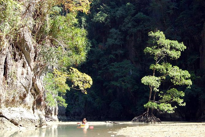 Hong by Starlight John Grays Sea Canoe - Pricing Information and Terms