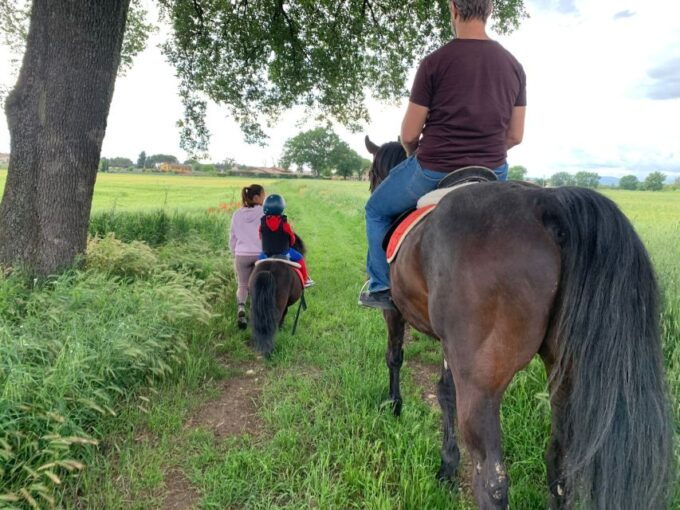 Horse Riding Through the Valleys + Food Tasting - Activity Description