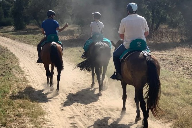 Horseback Riding in Parque Natural Doñana, Sevilla - Expectations