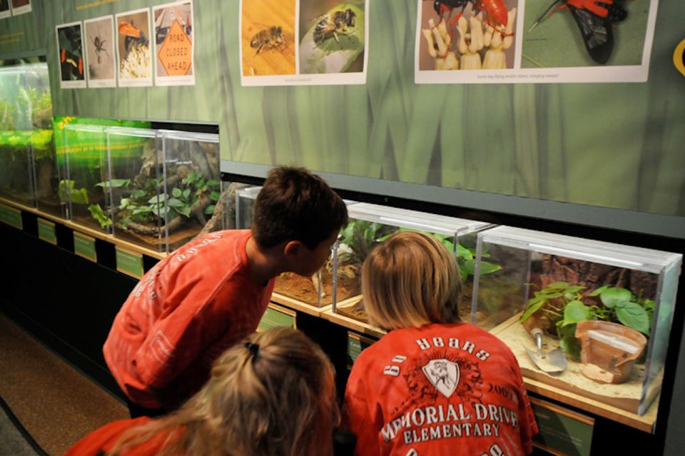 Houston Museum of Natural Science: Cockrell Butterfly Center - Full Experience Description