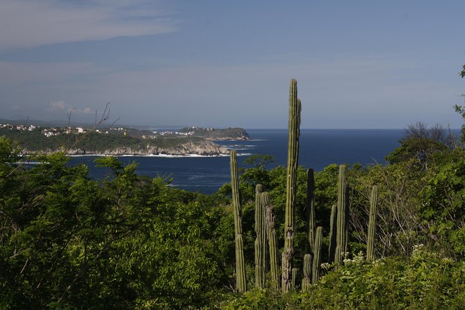Huatulco City Tour HT - Customer Reviews and Ratings