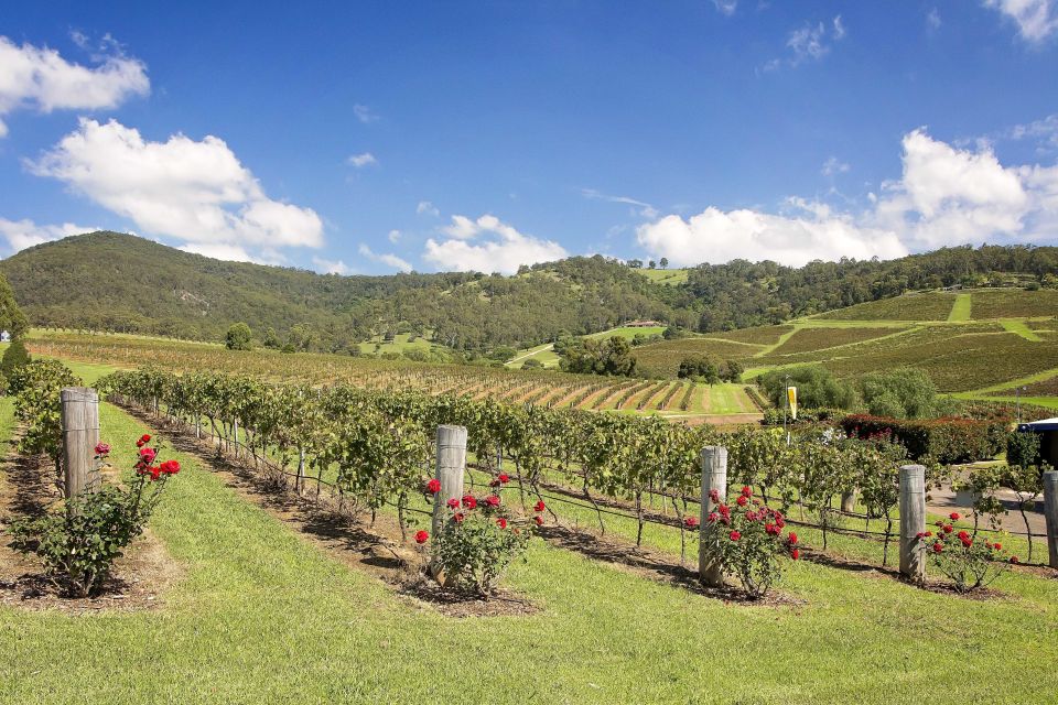 Hunter Valley: Wine Tour With 3 Tastings and Garden Lunch - Meeting Point and Important Details