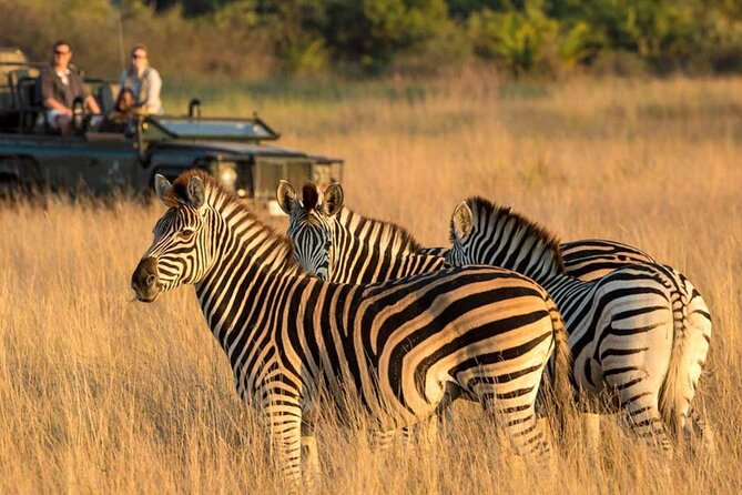 Isimangaliso Wetlands, Plus Hippo & Croc Boat Cruise Full Day Tour From Durban - Pricing Information