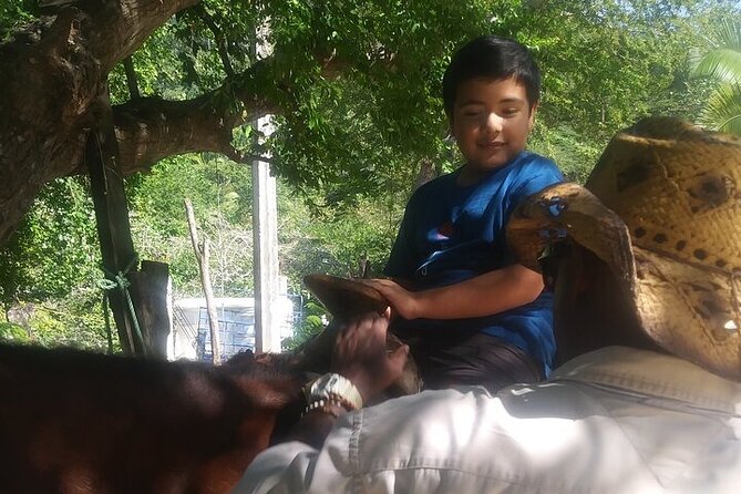 Jalisco Private Horseback Riding Tour  - Mismaloya - Additional Information