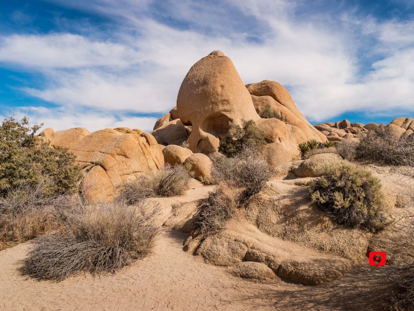 Joshua Tree: Self-Guided Audio Driving Tour - Inclusions and Features