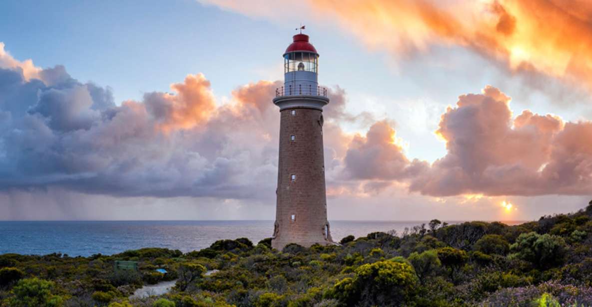 Kangaroo Island Lighthouse, Kangaroos and Wine Tasting - Inclusions