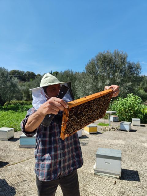 Kefalonia Honey Tour on E-Bikes - Experience