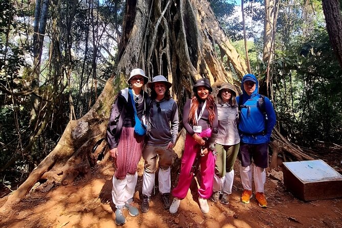 Khao Yai National Park-Haew Suwat Waterfall-Jungle Hiking to KM 33 Nong Pak Chi - Wildlife Observation Tower Experience