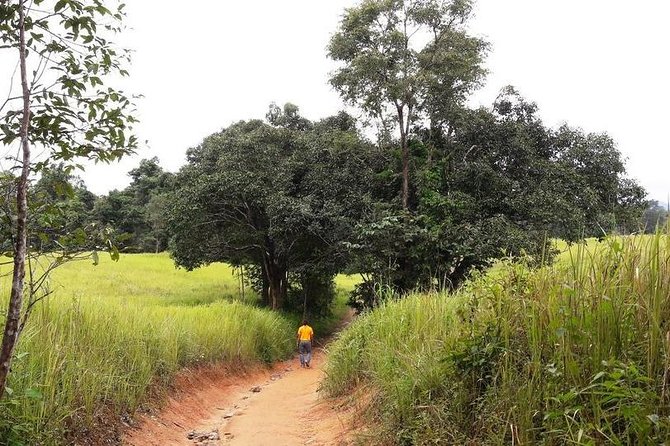 Khao Yai National Park Jungle Trekking Day Trip From Bangkok - Inclusions and Exclusions