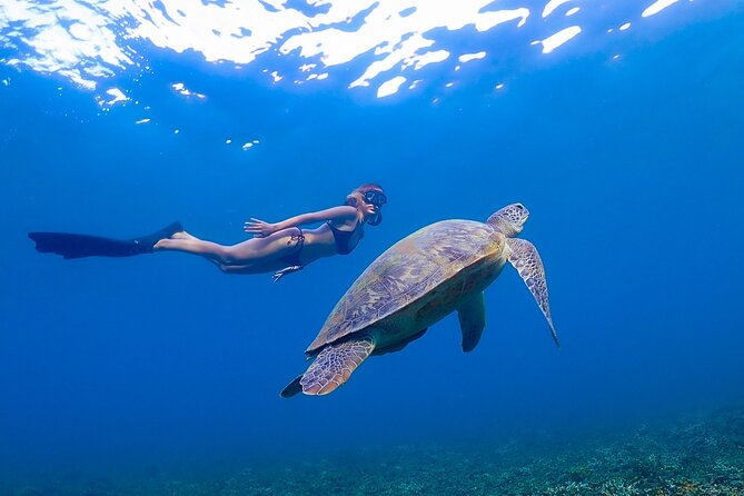 Koh Tao Viewpoint and Snorkeling Tour - Booking Details