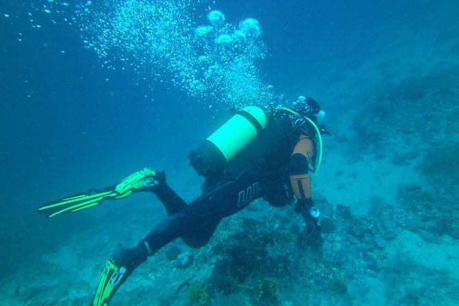 Krk Private Scuba Diving Discovery Experience  - Krk Island - Common questions