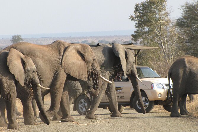 Kruger Park Safari Private Full-Day Tour From Marloth Park - Inclusions and Fees