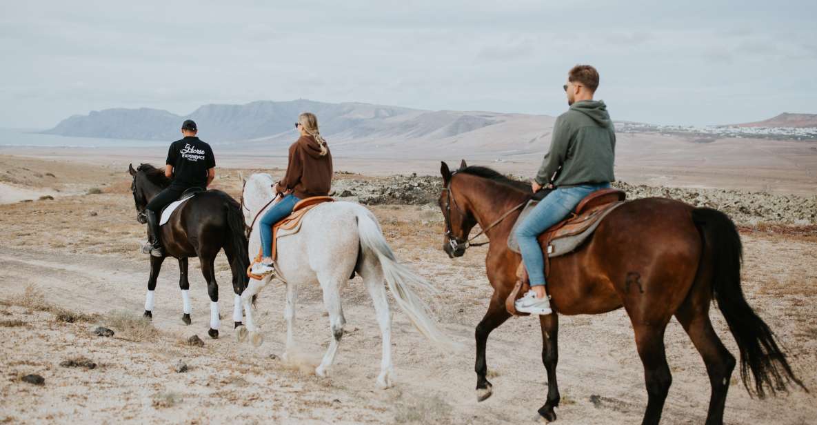 Lanzarote: Private Horseback Riding Tour - Customer Reviews