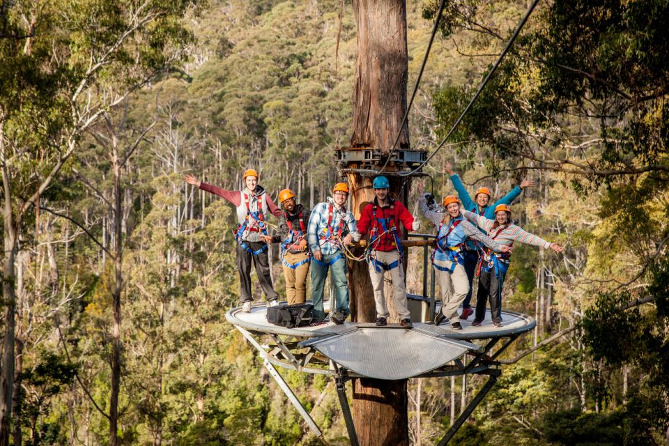 Launceston: Hollybank Forest Treetop Zip Lining With Guide - Inclusions