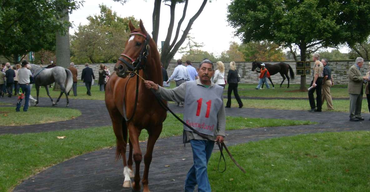 Lexington: Horse Farm Tour and Keeneland Race Track Visit - Booking Details