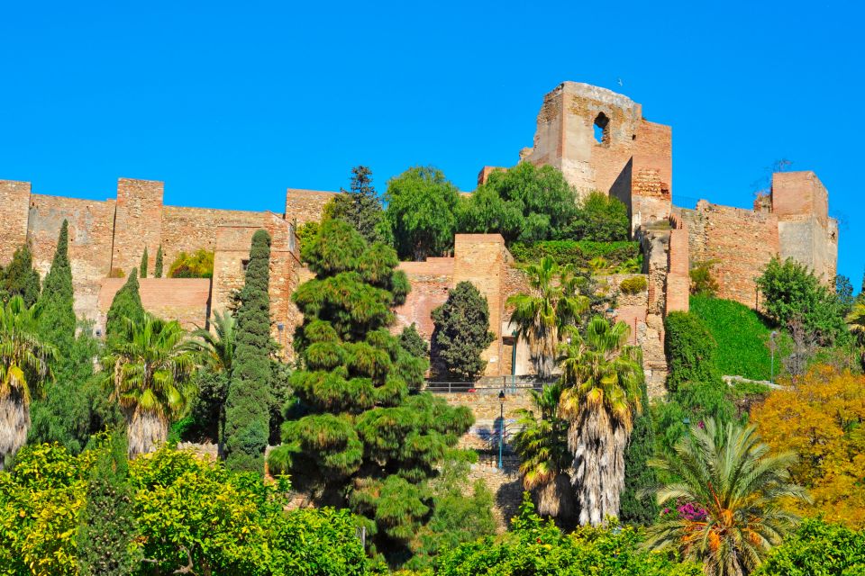 Malaga: First Discovery Walk and Reading Walking Tour - Inclusions