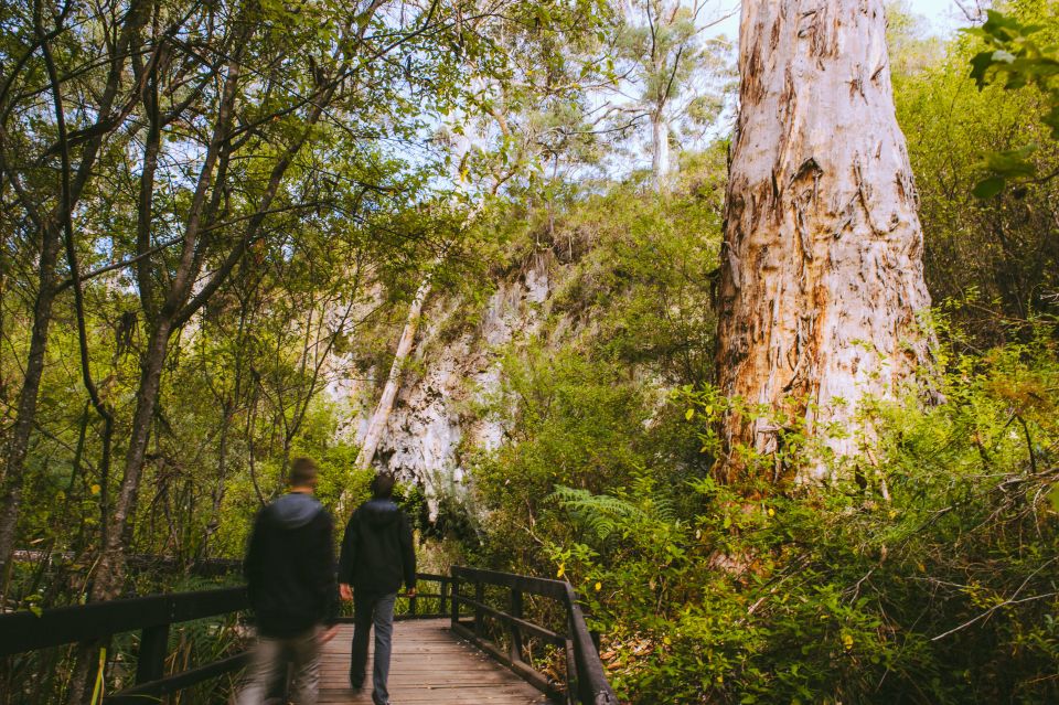 Margaret River: Self-Guided Audio Tour of Mammoth Cave - Inclusions