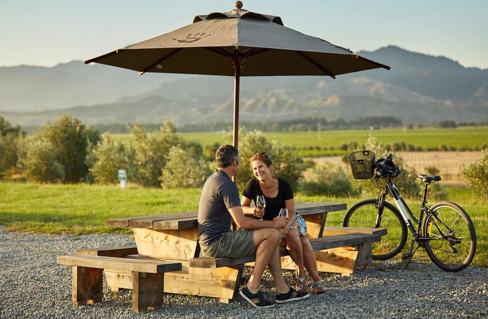 Marlborough Full-Day Self-Guided Biking Wine Tour - Highlights and Amenities