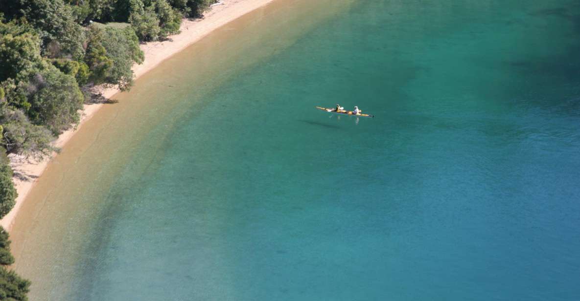 Marlborough Sounds Guided Kayak and Freedom Walk Tour - Activity Description