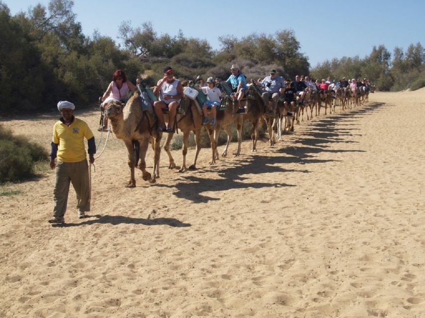 Maspalomas: E-Bike Tour With Camel Ride - Full Tour Description