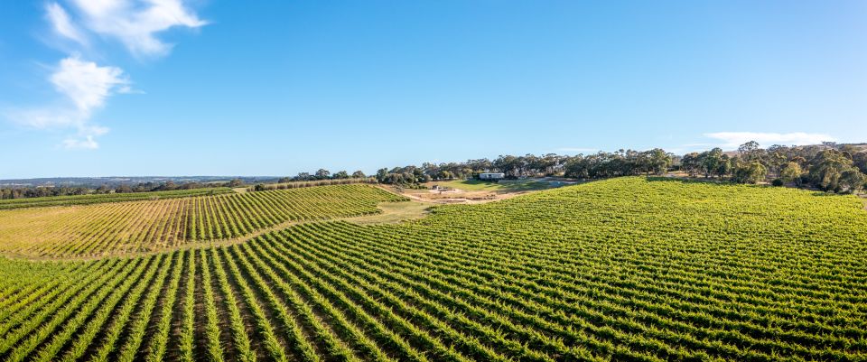 McLaren Vale: Biodynamic Wine Tasting and Degustation Lunch - Inclusions