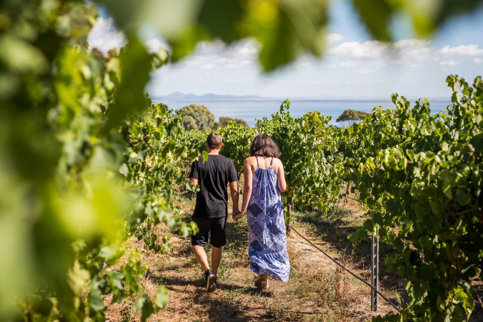 Melbourne: Around the Bay Food & Wine Taste Trail - Meeting Point Information