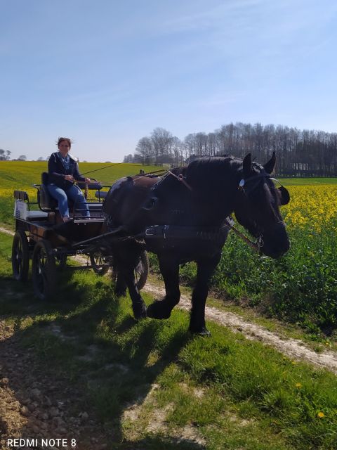 MENTHEVILLE : Horse Cariage Ride in Coutryside - Itinerary
