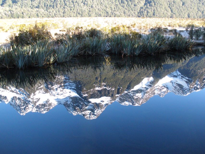 Milford Sound Premium Day Tour and Cruise From Te Anau - Experience Highlights and Amenities