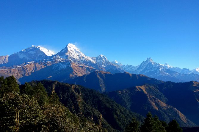 Mohare Danda Trek World Best Natural Trail - Meeting and Pickup Details