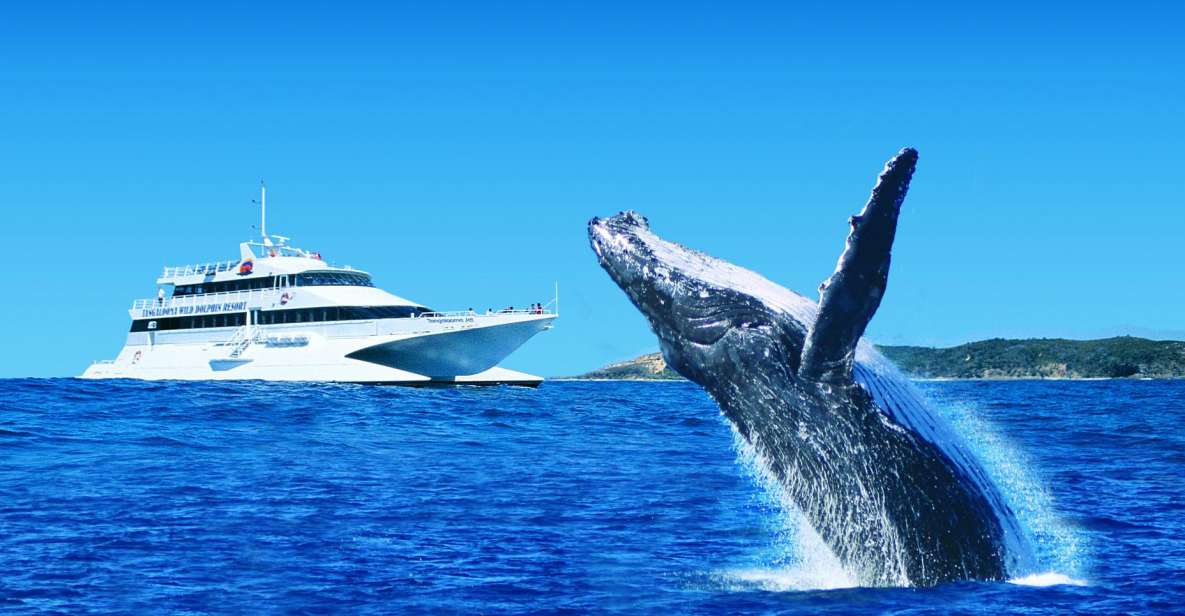 Moreton Island: Tangalooma Day Trip & Whale Watching Cruise - Duration and Highlights