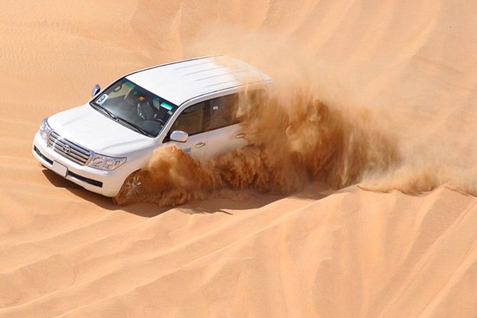 Morning Dubai Red Dunes Safari With Camel Ride & Sand Boarding - Enjoy a Camel Ride