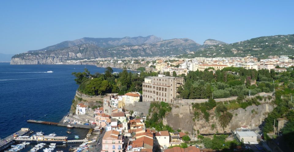 Naples: Full-Day Amalfi Coast Tour - Languages and Accessibility