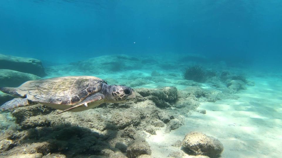 Naxos: Discover Scuba Diving - Your First Experience Diving - Dive Site Information