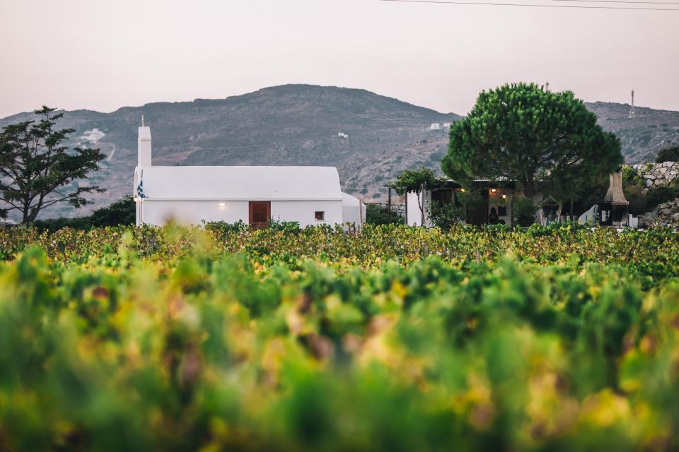 Naxos: Wine & Culture Tour - Accessibility & Highlights