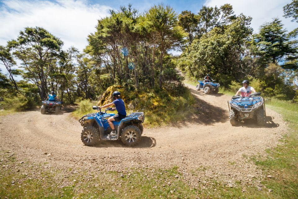 Nelson: Guided Quad Biking Tour Through Forest and Farmland - Tour Highlights and Experiences