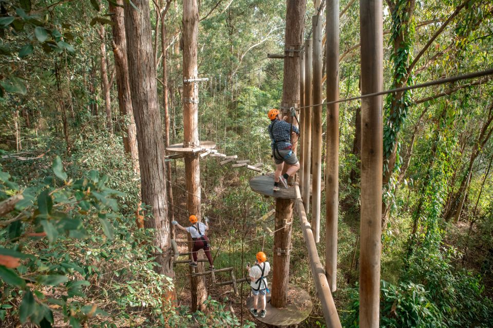 Newscastle: Australian Tree Ropes Course Adventure - Location Highlights