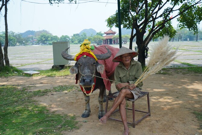 Ninh Binh One Day Trips- From Hanoi - Additional Information and Pricing