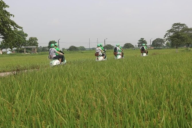 Ninh Binh Vespa Start From Hanoi Boat Villages Rice Paddies - Village Exploration