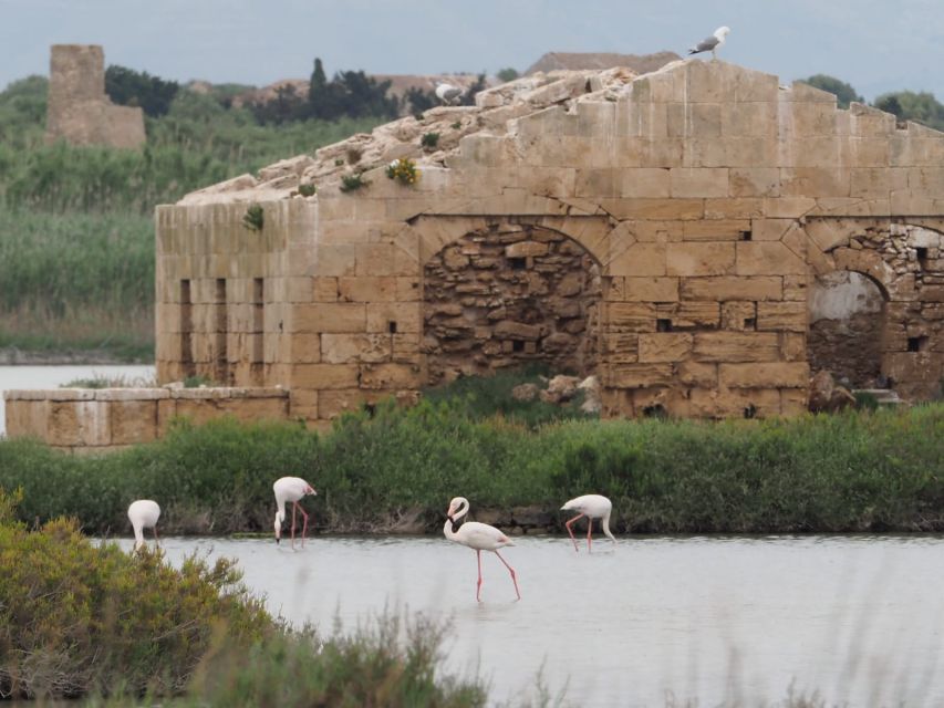 Noto: Guided Trekking and Birdwatching at Vendicari Reserve - Inclusions and Exclusions