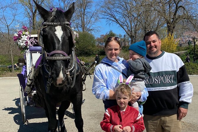 NYC Central Park Horse Carriage Rides - Additional Details and Conditions